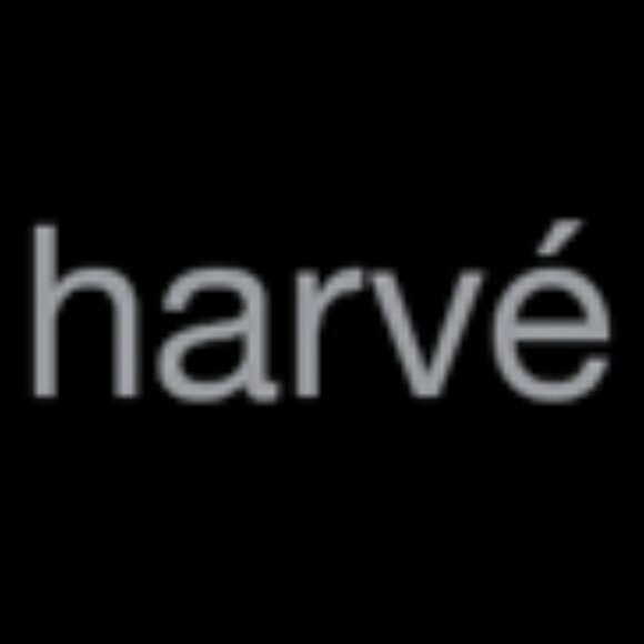 Harvé Benard by B. Holzman (Russia) Ladies Vintage Gray Pin Striped Blazer - Picture 12 of 17